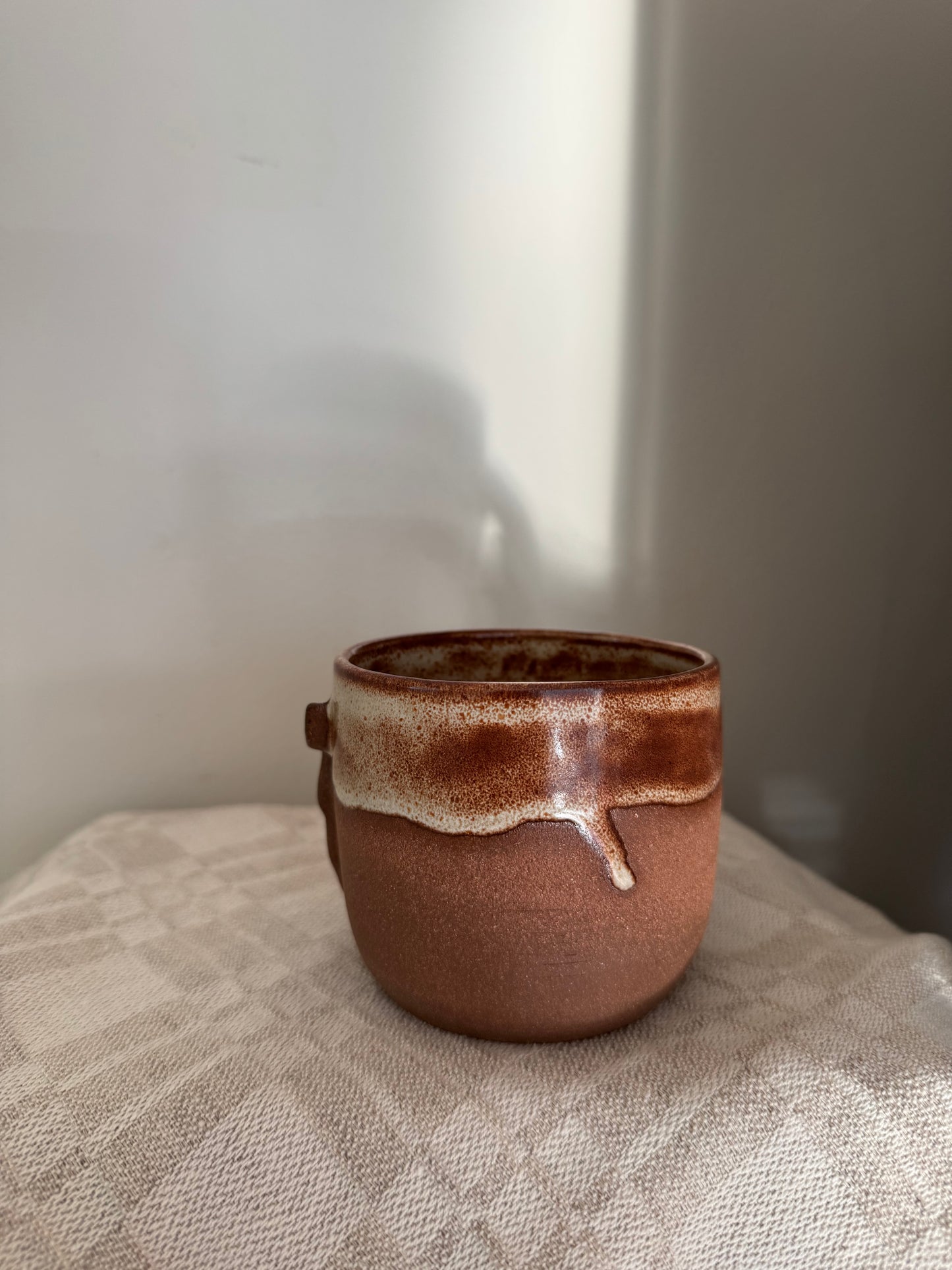Longhorn Mug 3